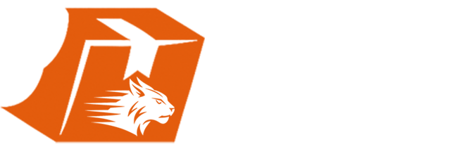 lynx-courier-services-logo