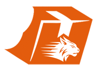 Lynx Courier Services